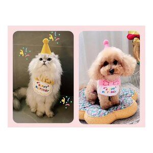 Dog  or Cat Birthday Hat & Bib